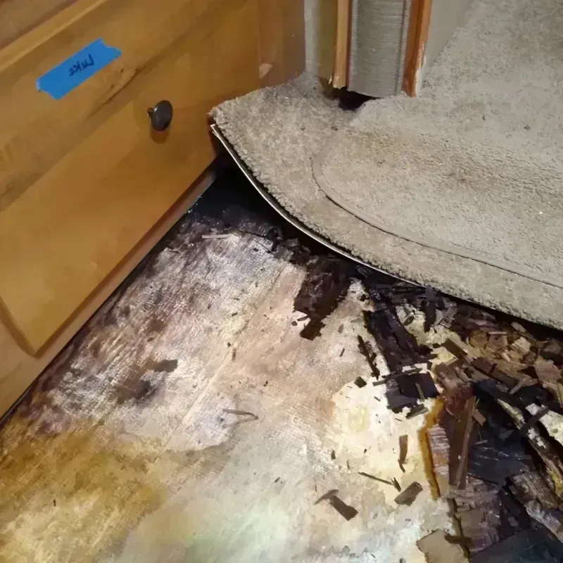 Best Wood Floor Water Damage Service in Wayne County, IL